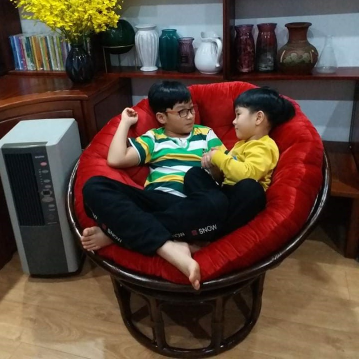Papasan 100cm Thường Papasan 100cm Thường