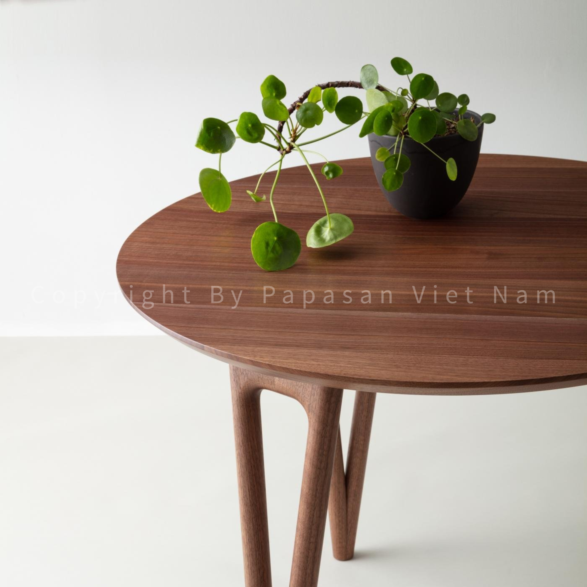 101 Bàn trà – BT33