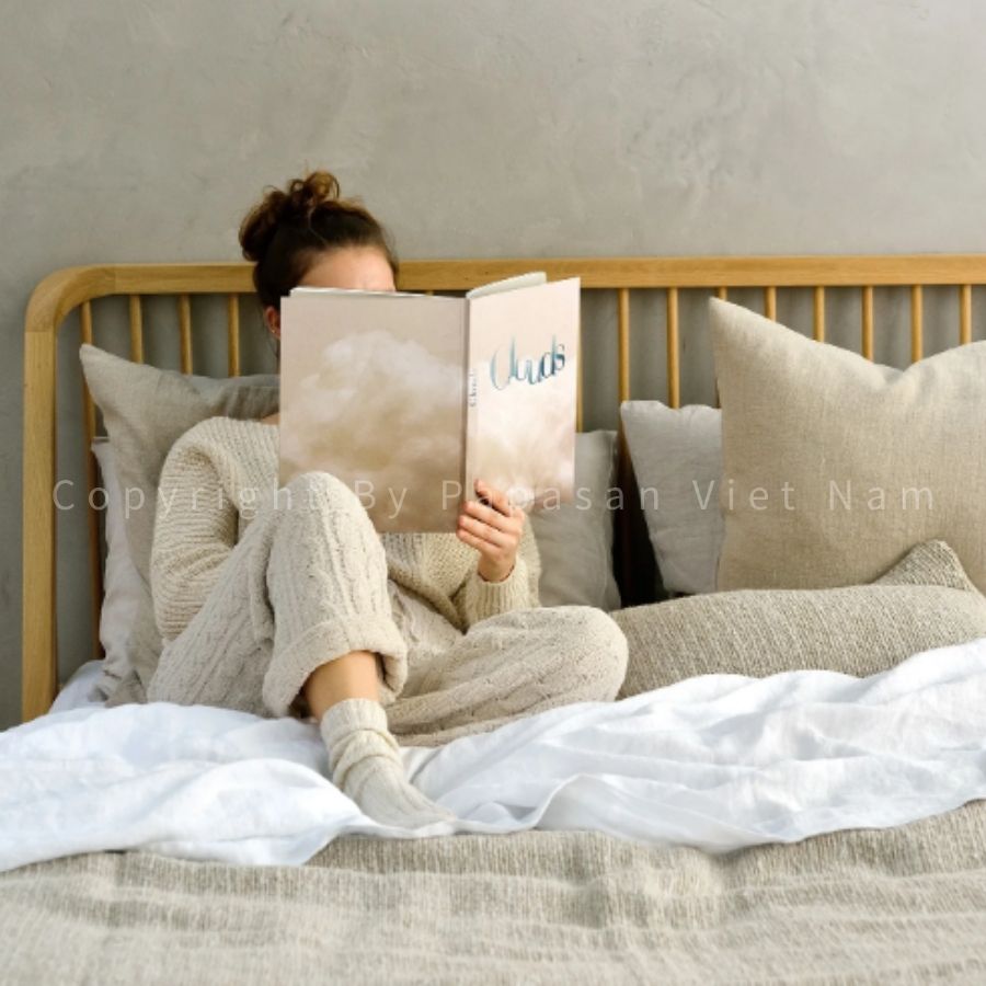 61 Giường Ngủ – GN17